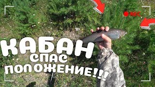 Крупный Хариус!!! Ловля хариуса на Енисее на тирольку! Кабан спас положение!