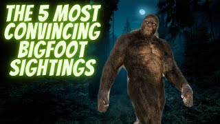 The 5 Most Convincing Bigfoot Sightings