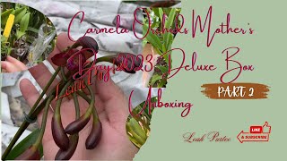 Carmela Orchids Mother’s Day 2023 Deluxe Box Unboxing || Part 2 || #mylittlejungle #orchidmom