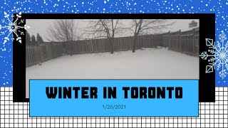 Snow In Toronto | Toronto Weather