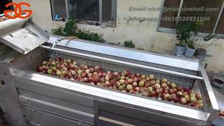 Peach Washing Machine|Brush Fruit Cleaning and Washing Machine Working