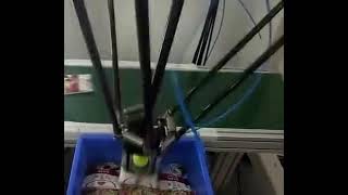 Food bag pouch sorting feeding machine by robot hand