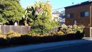 Catalina Island - Streets of Avalon on Catalina Island Part 1