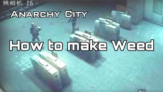 [Anarchy City FiveM] How to make Weed !