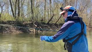 Shad Fishing Roanoke Rapids Weldon NC March 2022