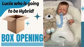 Reborn Baby Box opening - Lucia Ready to be Hybrid!