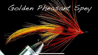 Tying a golden pheasant spey