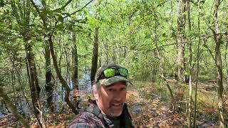 At the Big Hole | Duck Hunting