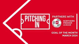 Pitching In Goal of the Month - March