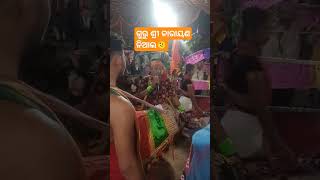 ଗୁରୁ ଶ୍ରୀ ନାରାୟଣ ନିଆଲ Ladies/ Kirtan#trending#viralshorts #guru