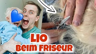 Lios erster Friseur Besuch 😲