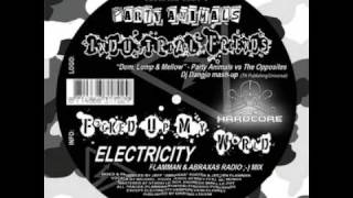 Party Animals - Electricity SINGLE PREVIEW