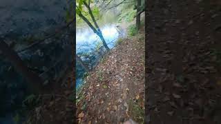 Walking Down to a Small Lakeside Spring #hikingadventures #spring #water #lake #outdoors