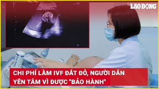 Chi phí làm IVF đắt đỏ, người dân yên tâm vì được "bảo hành" | Báo Lao Động