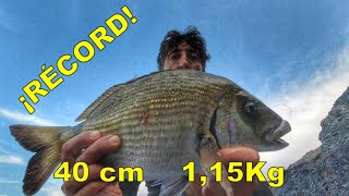 Pesca del sargo y mucho más. Sale uno gigante.