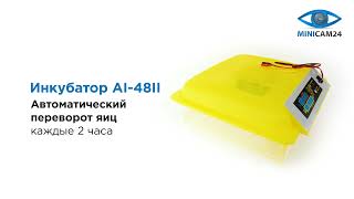 Обзор на Инкубатор AI-48II