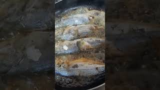 FRIED FISH #fish #shorts