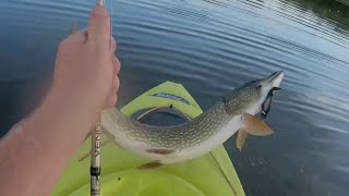 Kayak Fishing for Northern Pike