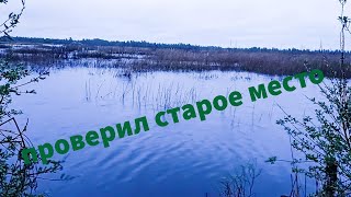 Рыбалка весной на болоте в старом месте. Что изменилось? #рыбалка #рыбалка2023 #рыбалкавесной