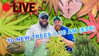 Ten New Trees @ 10am (EST)| Live @ 9am