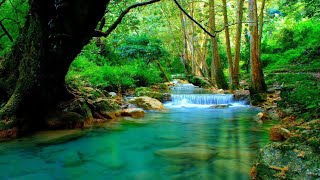 RELAXING RIVER SOUNDS 2 - Black Screen, Water Stream Sounds, Sleep, Meditation, Relaxation, ASMR