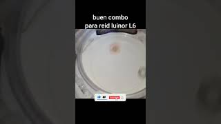 combo para reid luinor L6/short/jefri b,g