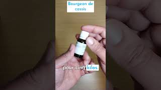 Bourgeon de cassis pour l'arthrose du chien et du chat