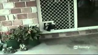 America's Funniest Home Videos part 13