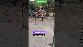 tiger power 🔥🔥#highjump #viralvideo #shortsfeed #shorts #youtubeshorts #trendingshorts #policebihar