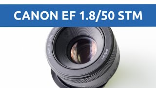 Тест объектива Canon EF 50 f1.8 STM: улучшение пошло на пользу | молчаливый обзор