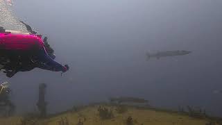 Wreck Dive USS Spiegel Grove short intro