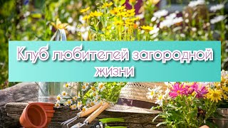 Яичная скорлупа на огороде!