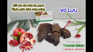 Vỏ Lựu - Địa chỉ bán vỏ lựu tại TPHCM chất lượng và giá tốt nhất