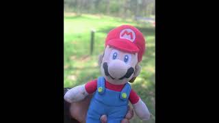 May, 10, 2023 #mario #plushy #nintendo  #comedy