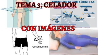 TEMA 3 CELADOR. Con imágenes y ejemplos. Posiciones anatómicas, cambios posturales, eje y plano