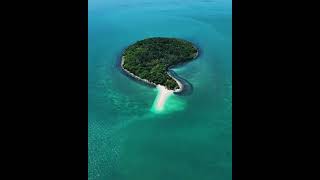 Brook Island Snorkelling Safari