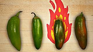 Why some jalapeños are SO much spicier than others