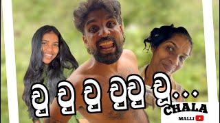 චු චු චු චුචු චූ...💧😂 - චාලට් මල්ලි - chalat malli