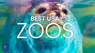 Amazing Zoos in the USA | FIND YOUR WILD SIDE in these Best Zoos in the USA 2020