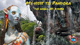 the world of avatar  Disney's Animal kingdom.  #short #shorts #disney