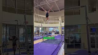 This is how professional gymnasts train @Oliviadunneshort #gymnastics #fact #sports