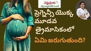 What To Do In The Third Trimester of Pregnancy? || Dr. P. Vishnu Priya