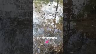 #ПОЗИТИВЧИК 💕🥰💖