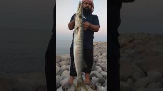 Appachi catch Big barracuda 🐟🎣💪 #viral #tamil #support #trending #funny #subscribe #shrots #big 🫣😎💯