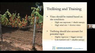 Small Vineyard Management: Important Concepts for Wine Grape Growers