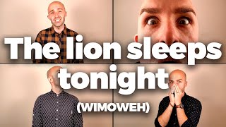 The lion sleeps tonight (The Lion King) - A cappella Quartet