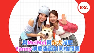 與MeiMei幫柴犬減肥 Yanny稱愛貓面對同樣問題｜ #娛樂新聞 ｜ Lolly Talk ｜ MeiMei Yanny ｜ Lolly Lolly寵物拯救隊 ｜ HOY TV