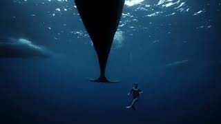 Breath in underwater | life of scientic | life of scientific in spaces| how can swim in sea