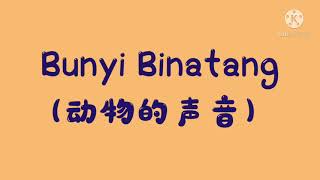 一年级音乐教育 bunyi binatang的歌曲和活动