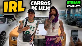 IRL COMPRANDO CARROS DE LUJO CON OVI SAMULX Y MRSTIVEN | STREAM COMPLETO | WESTCOL